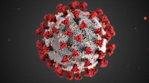 Coronavirus (Covid 19) & Vaccination Explained