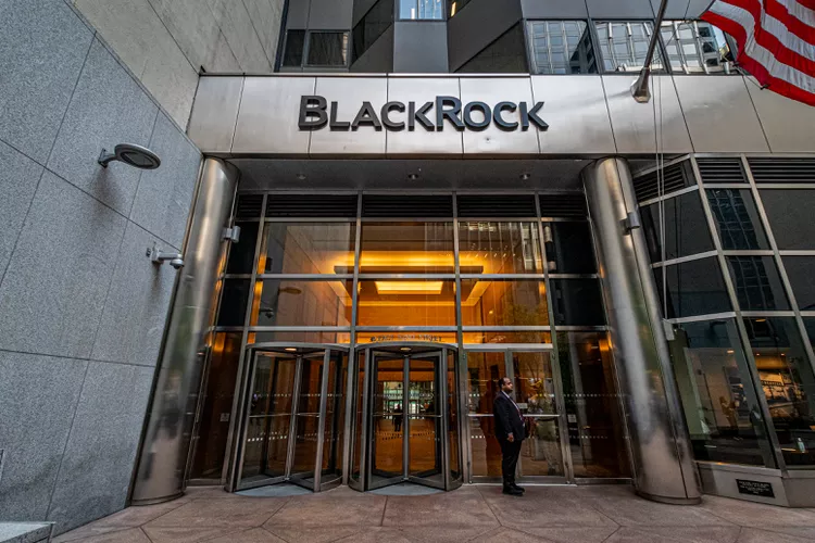 Unveiling the Dominance of Financial Giants Part 1: BlackRock’s Role in the Financial Landscape